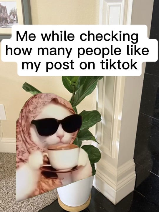 Post 8 by 🫶🏻Jaime🫶🏻 on TikTok (video)