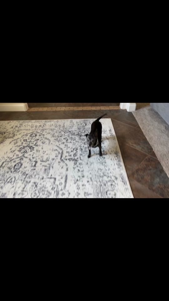 Post 9 by 🫶🏻Jaime🫶🏻 on TikTok (video)
