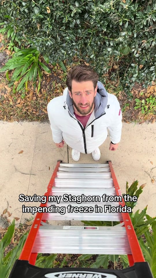 Post 7 by fitplantguy on TikTok (video)