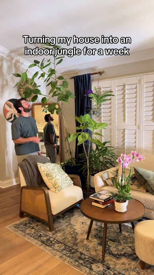 Post 5 by fitplantguy on TikTok (video)