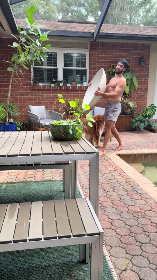 Post 9 by fitplantguy on TikTok (video)