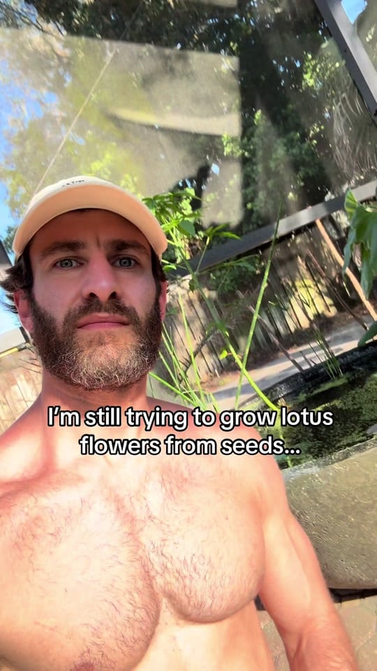 Post 2 by fitplantguy on TikTok (video)