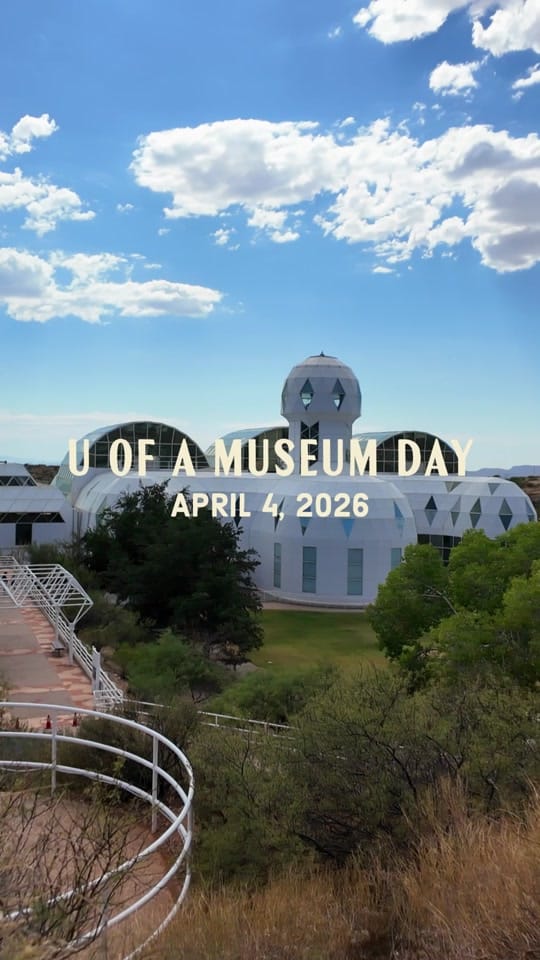 Post 6 by Visit Tucson on TikTok (video)