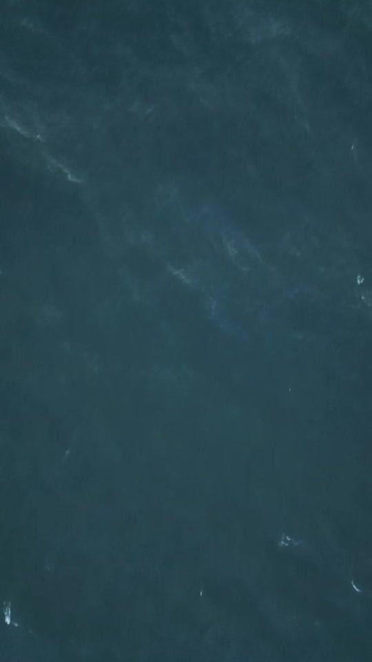 Post 1 by Jakz on TikTok (video)