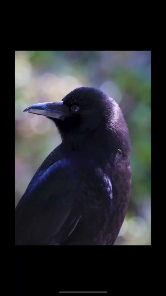 Post 10 by Jakz on TikTok (video)