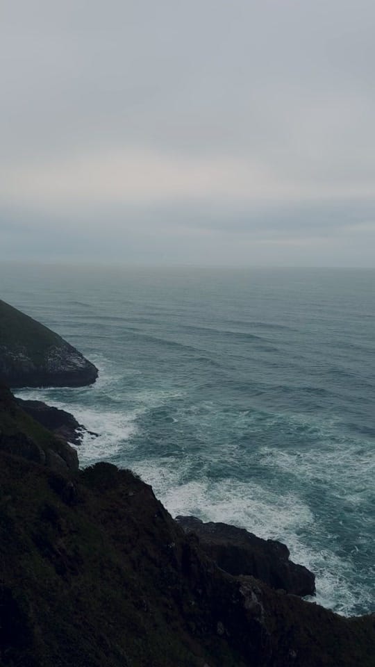 Post 8 by Jakz on TikTok (video)