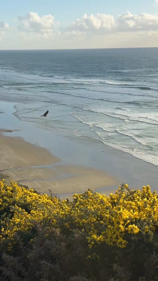 Post 5 by Jakz on TikTok (video)