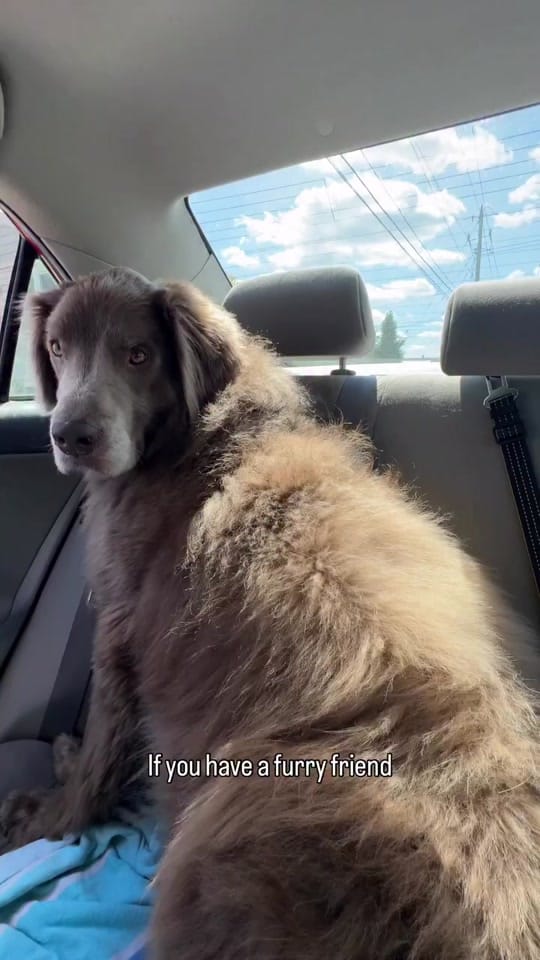 Post 8 by Expedition Kristen on TikTok (video)
