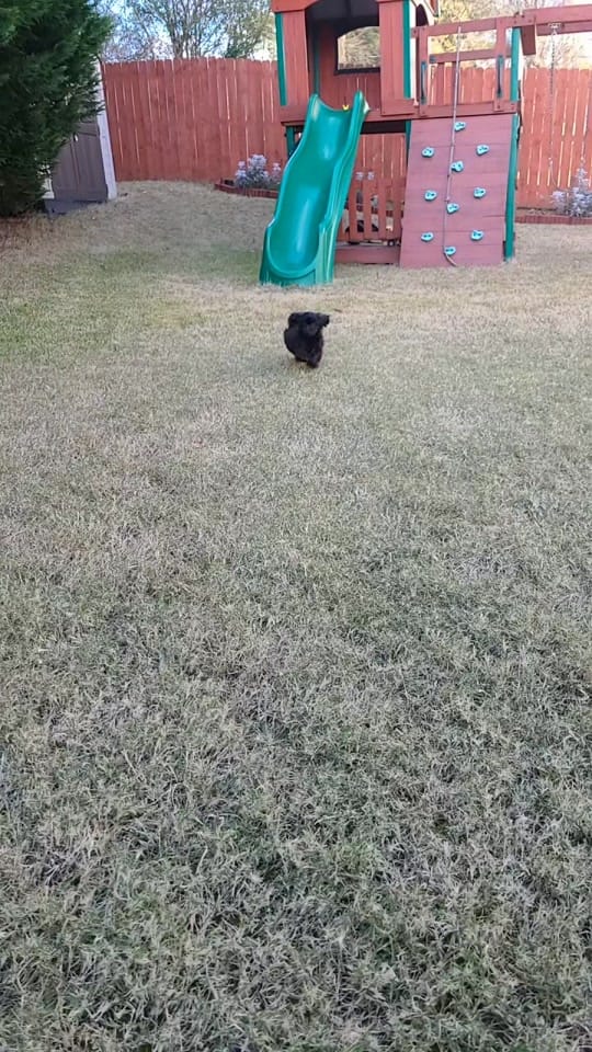 Post 4 by Shanelle Smith on TikTok (video)