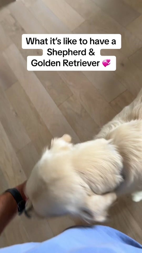 Post 1 by Jackson Michie on TikTok (video)