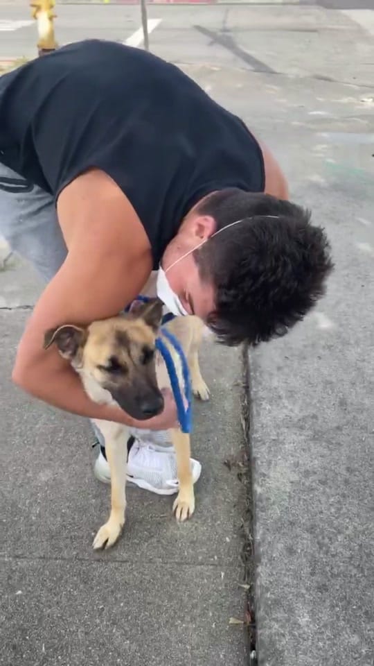 Post 9 by Jackson Michie on TikTok (video)