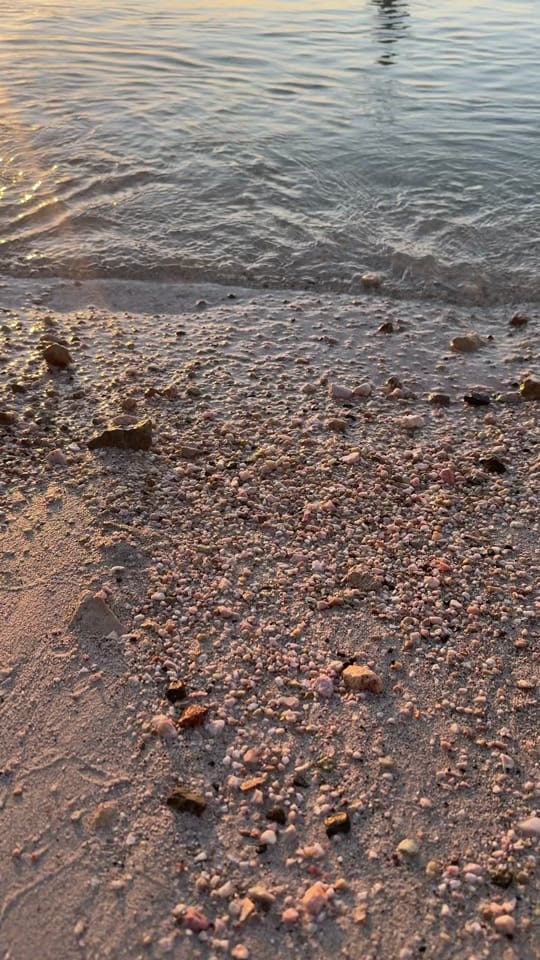 Post 7 by Ayana 🦋 on TikTok (video)