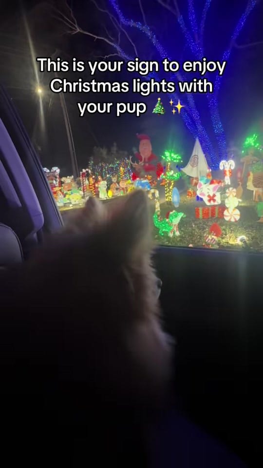 Post 6 by Cotie on TikTok (video)