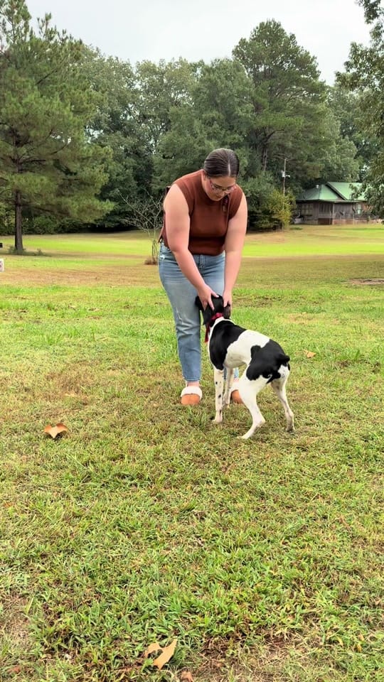 Post 9 by Ray of Hope Photography on TikTok (video)