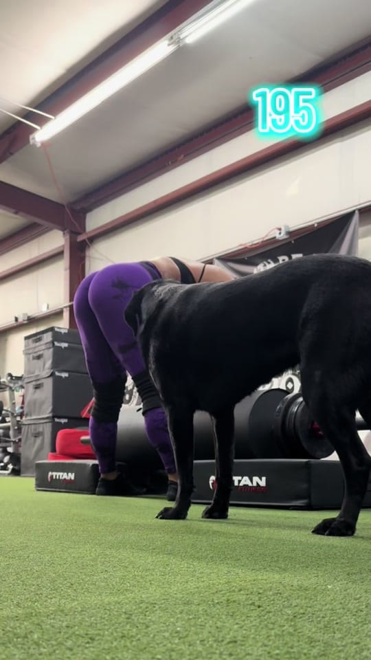Post 3 by C h e l s e a🖤 on TikTok (video)