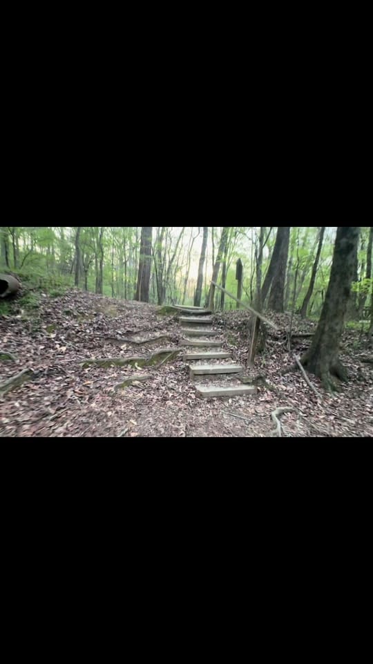 Post 1 by Leo on TikTok (video)