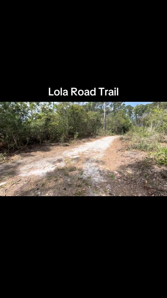 Post 9 by Leo on TikTok (video)
