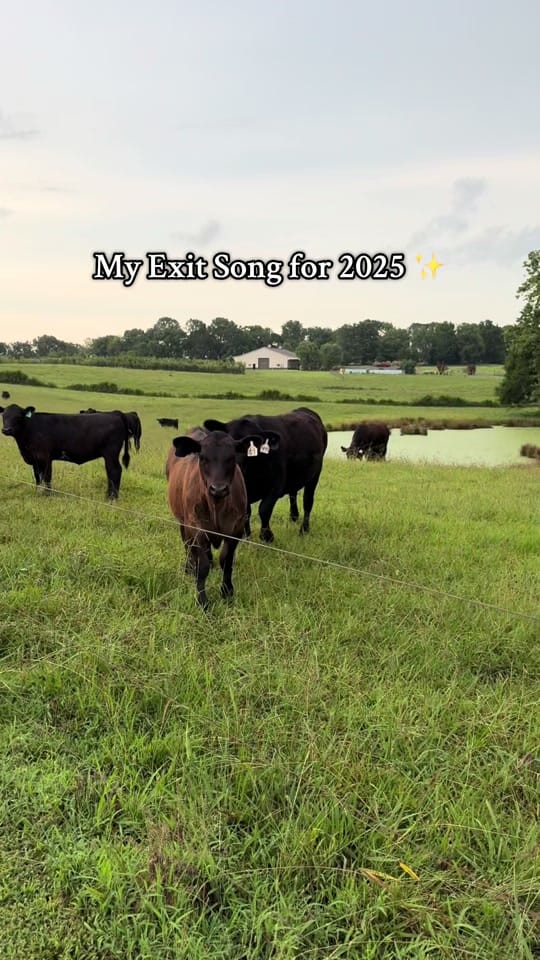 Post 3 by Samantha Jade on TikTok (video)