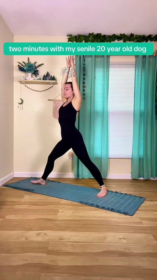Post 10 by elicia on TikTok (video)