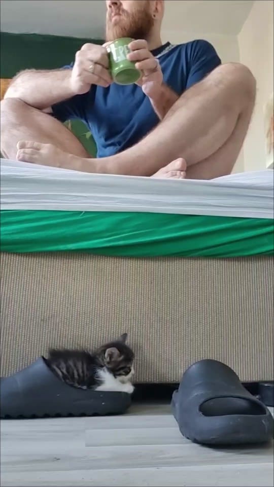 Post 9 by Musi on TikTok (video)