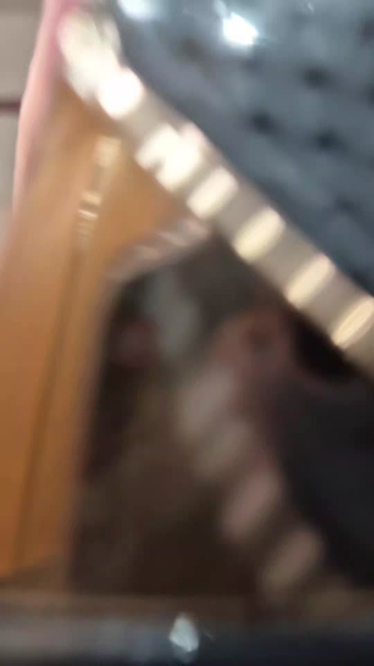 Post 8 by Musi on TikTok (video)