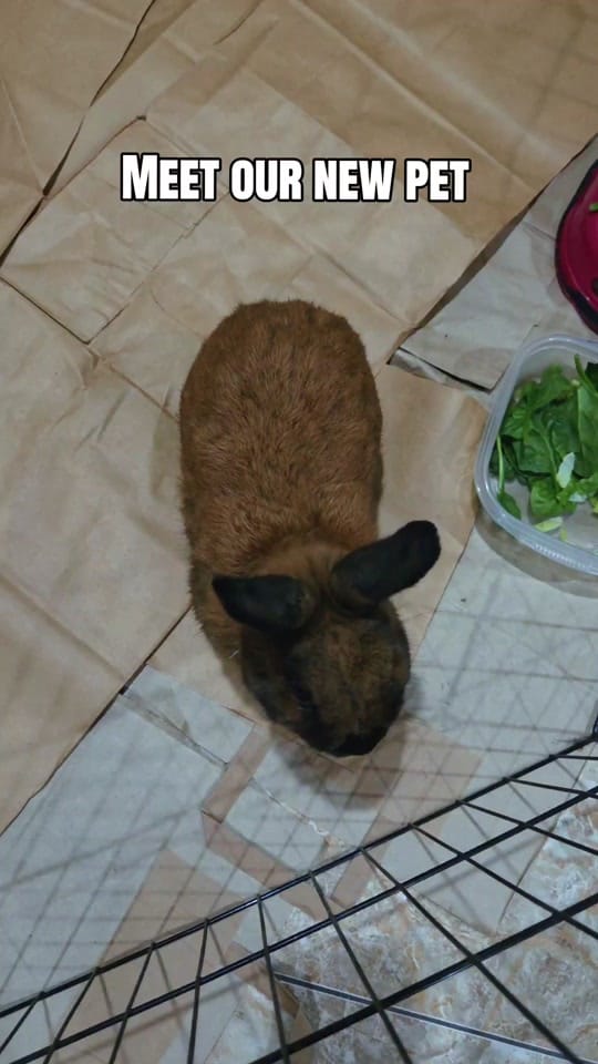 Post 1 by Dr. Lisette|WFHM🩷💜 on TikTok (video)