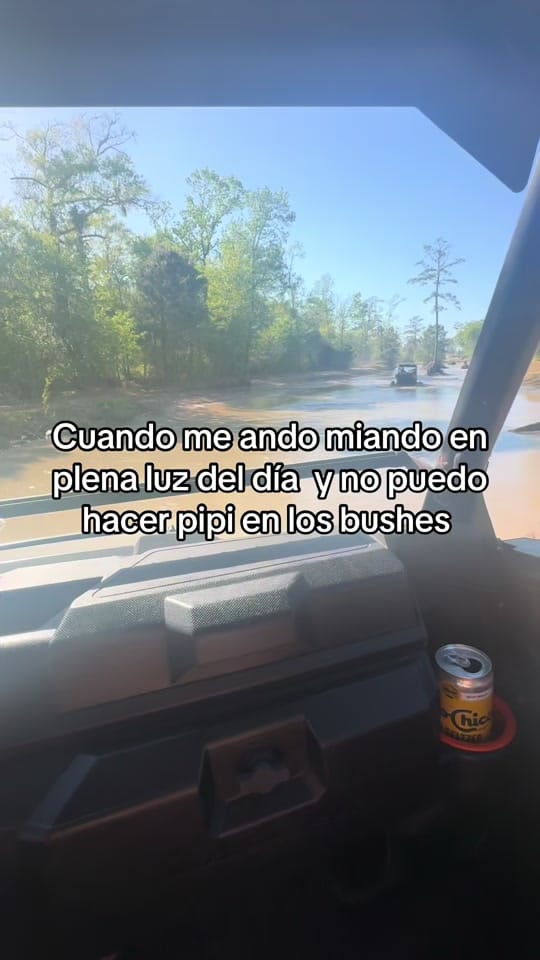 Post 6 by Pam Galindo on TikTok (video)