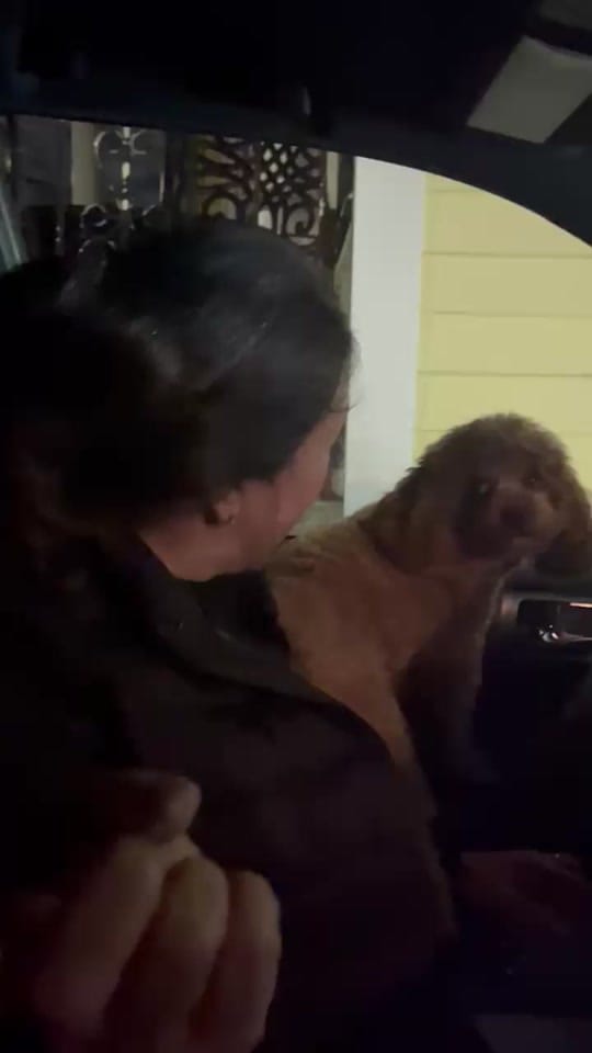 Post 1 by Ryan Alexander on TikTok (video)