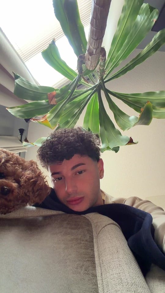 Post 5 by Ryan Alexander on TikTok (video)