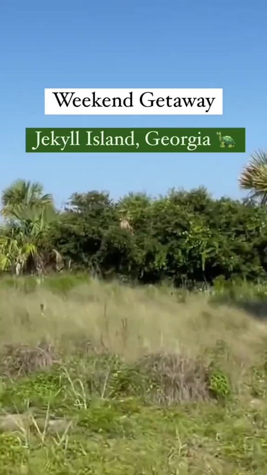 Post 10 by OnlyInYourState on TikTok (video)