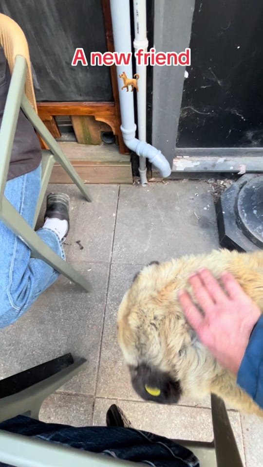Post 7 by Brett on TikTok (video)