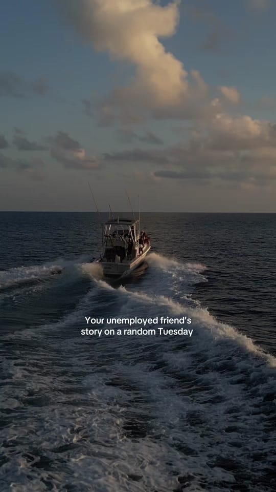 Post 3 by Sam Holden on TikTok (video)
