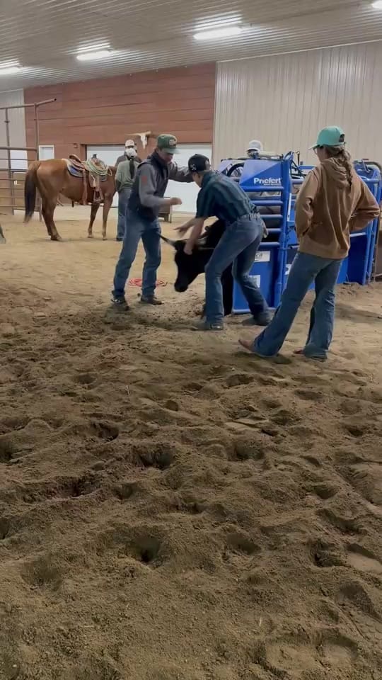 Post 1 by Tayson Jones on TikTok (video)