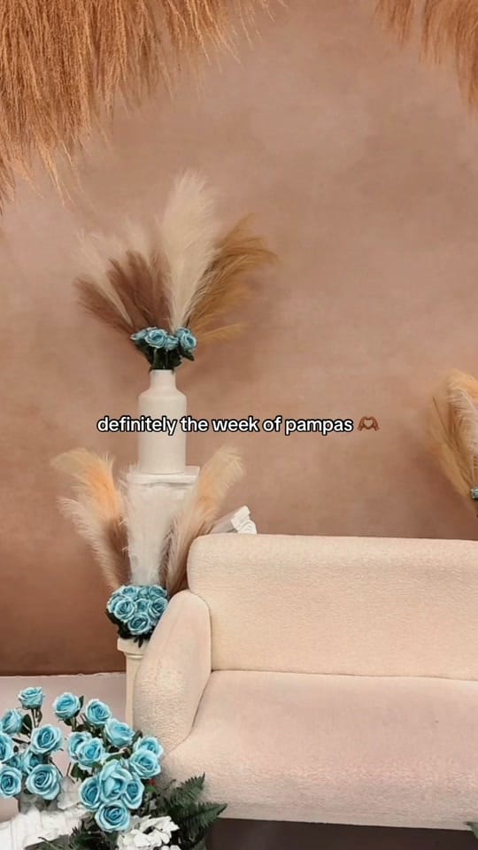 Post 2 by Miesha | THE PHOTOGRAPHER. on TikTok (video)