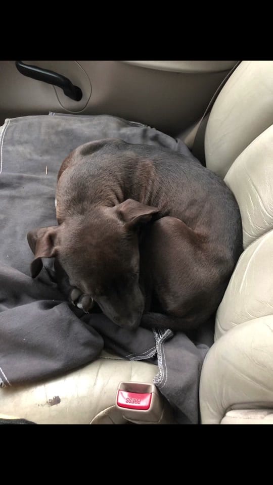 Post 9 by Kayla Harvey on TikTok (video)
