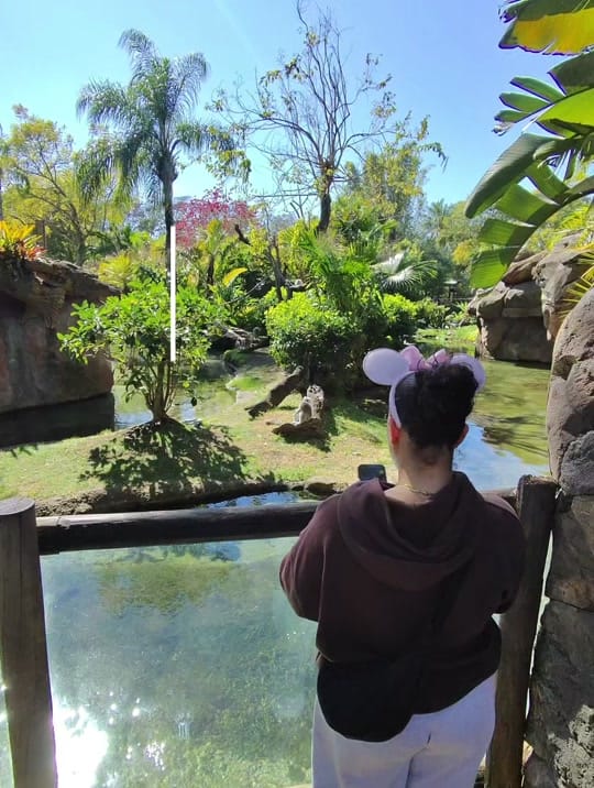 Post 5 by noahma_6 balboa on TikTok (video)