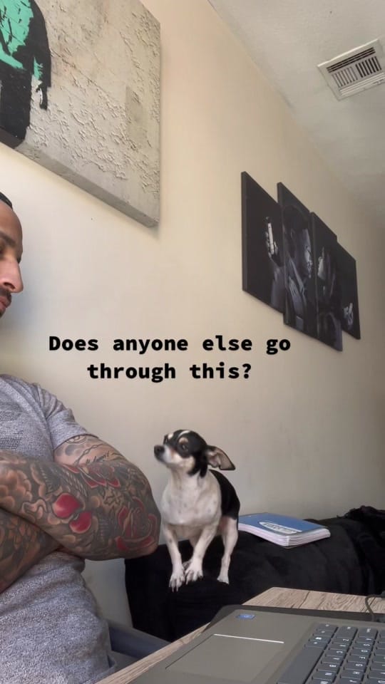 Post 8 by Manny.and.Mahty on TikTok (video)