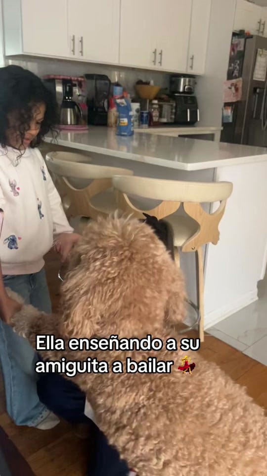 Post 1 by 𝒜𝓃𝑔ℯ𝓁𝒶 💕 on TikTok (video)