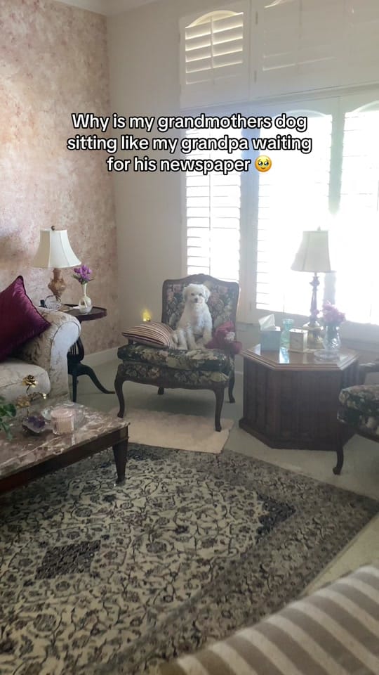 Post 5 by katie_cornelia on TikTok (video)