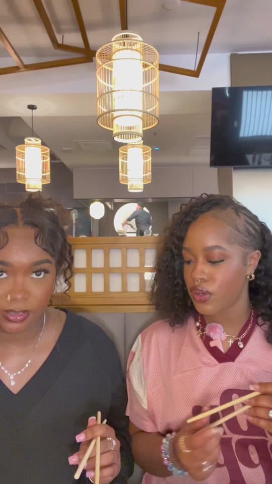Post 2 by ♊️ on TikTok (video)