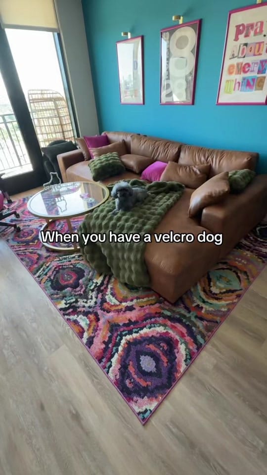 Post 1 by Roller Skate with Chesley 🛼 on TikTok (video)