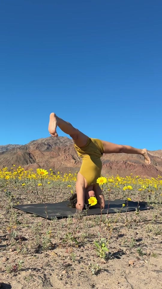 Post 5 by Miss Hannah ❤️ on TikTok (video)