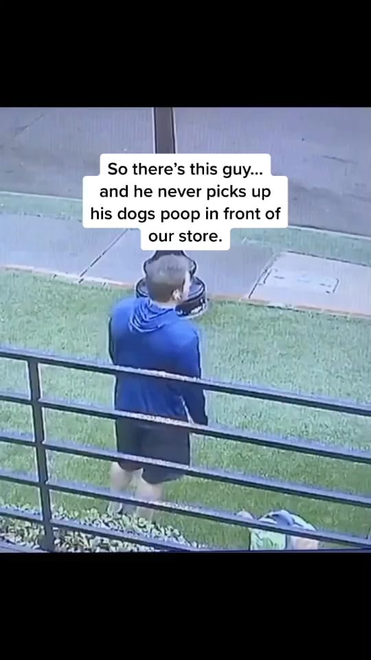Post 10 by Uptown Pup Dallas on TikTok (video)