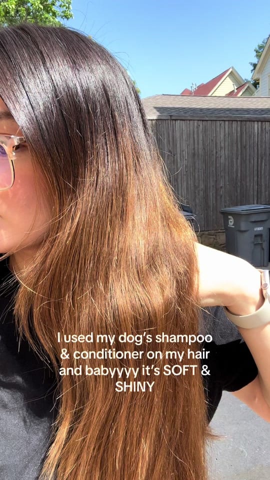 Post 9 by Uptown Pup Dallas on TikTok (video)