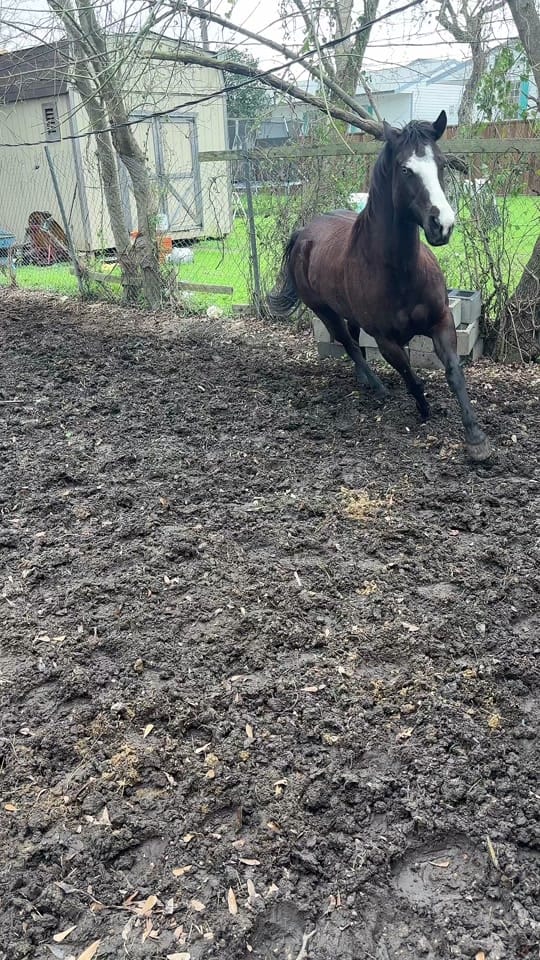 Post 7 by Bougie on TikTok (video)