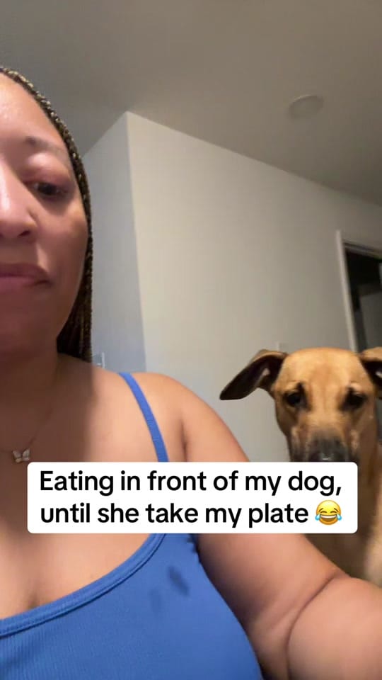 Post 5 by Bougie on TikTok (video)
