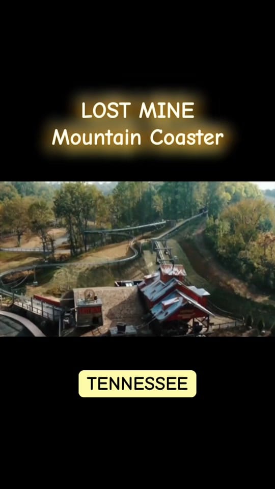 Post 7 by kimm_fern on TikTok (video)