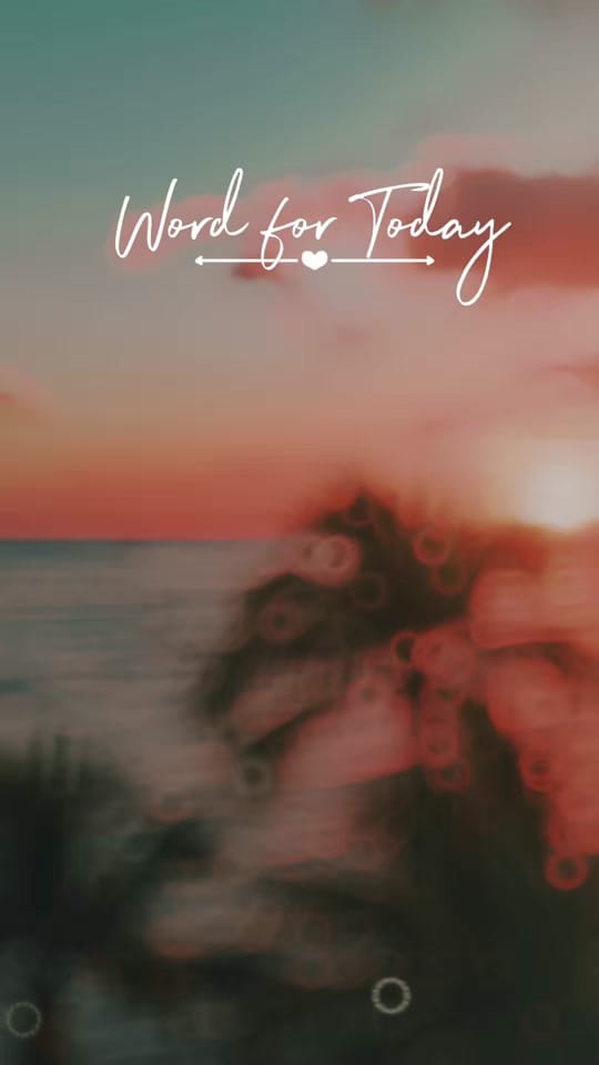 Post 1 by Teresa on TikTok (video)
