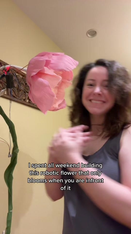 Post 8 by Inga | Tech + Travels + Learn on TikTok (video)