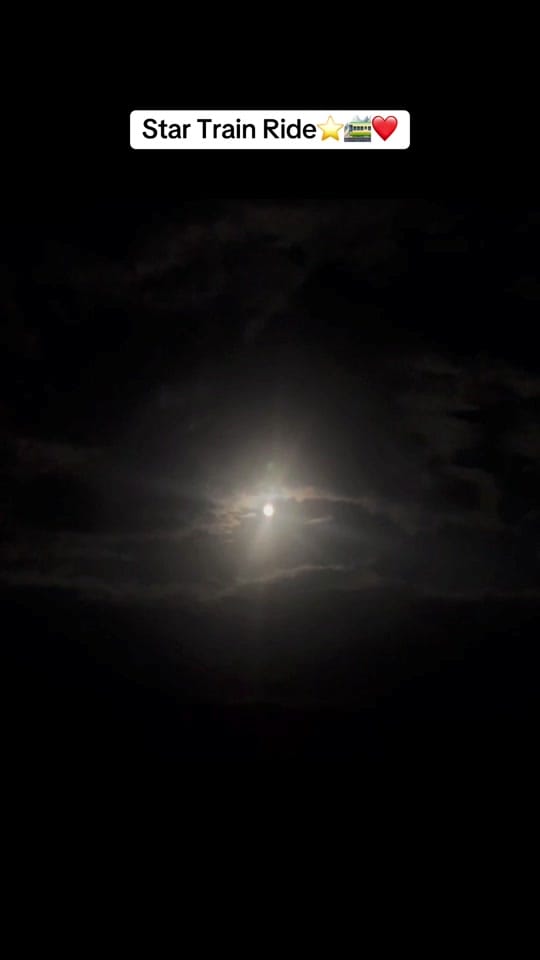 Post 10 by Lisa Nicole on TikTok (video)